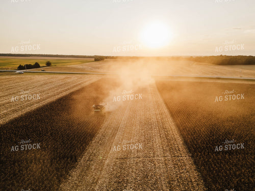 Aerial of Corn Harvest 115338