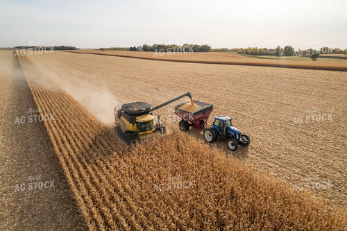 Corn Harvest 255010