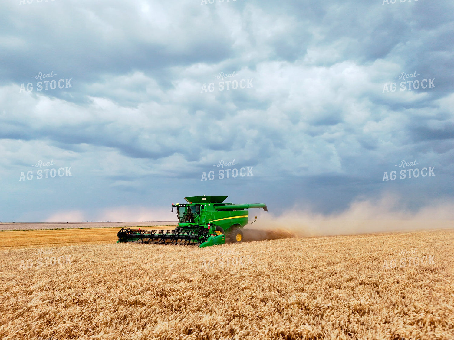 Harvesting Wheat 239598