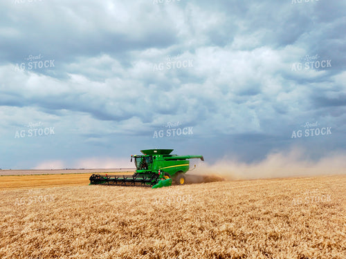 Harvesting Wheat 239598