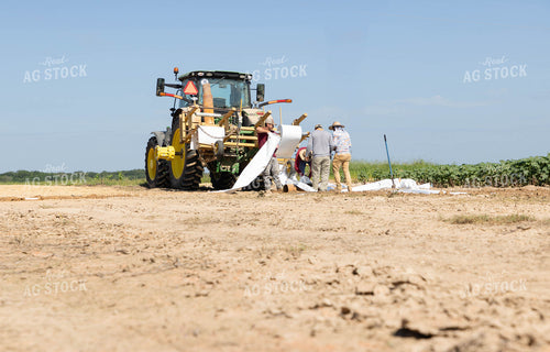 Laying Irrigation 79695