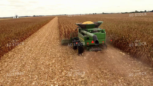 Corn Harvest 287025