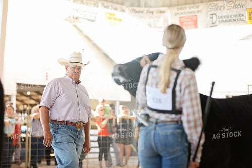 Showing Cattle 127103