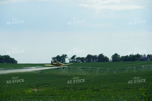 Crop Duster Flying Over Irrigation Pivot and Soybean Field 65002