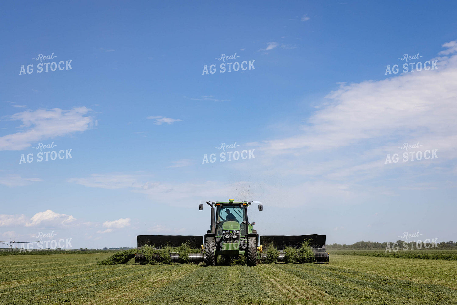 Merging Forage 152448
