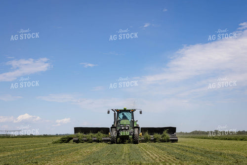 Merging Forage 152448