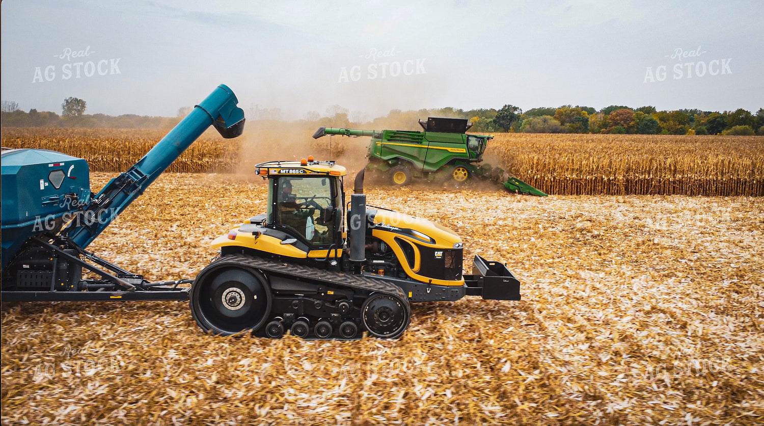 Corn Harvest 273019