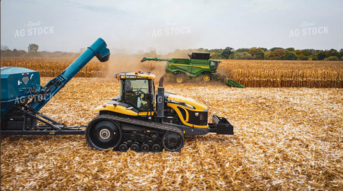 Corn Harvest 273019