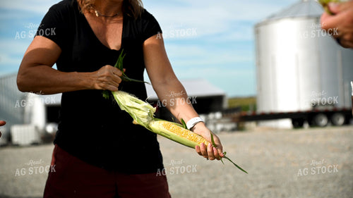 Family Shucking Sweet Corn 25264
