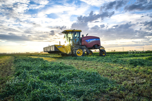 Cutting Alfalfa Hay  56344