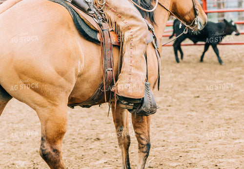 Rancher on Horseback with Chaps 61015