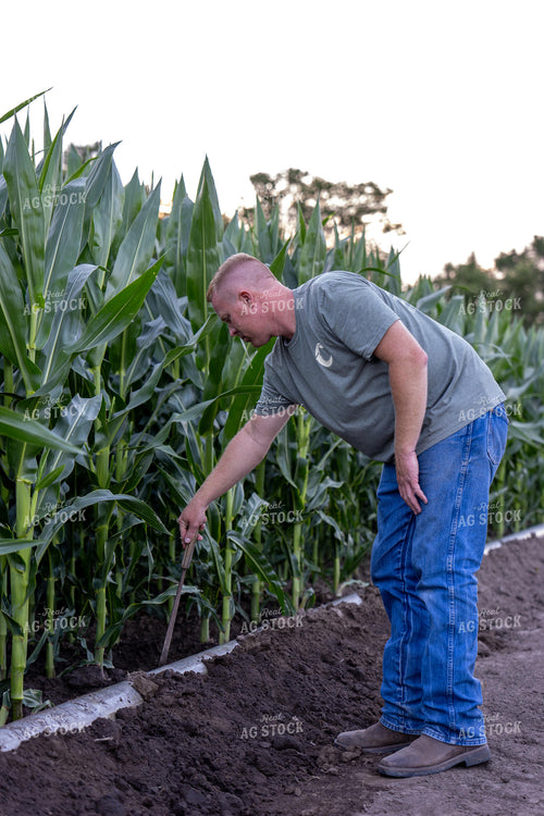 Farmer Opening Gated Irrigation Pipe 65883