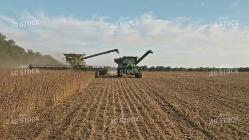 Soybean Harvest 92107