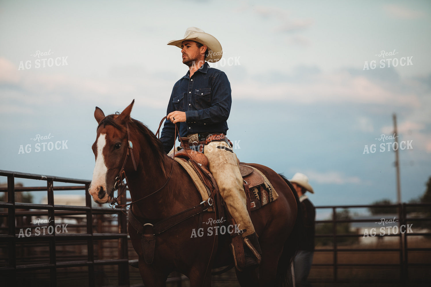 Rancher on Horse 6468
