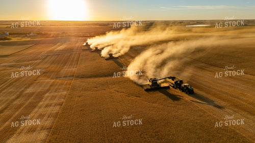 Wheat Harvest 187295