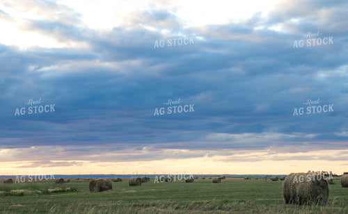 Round Hay Bales in Field 72009
