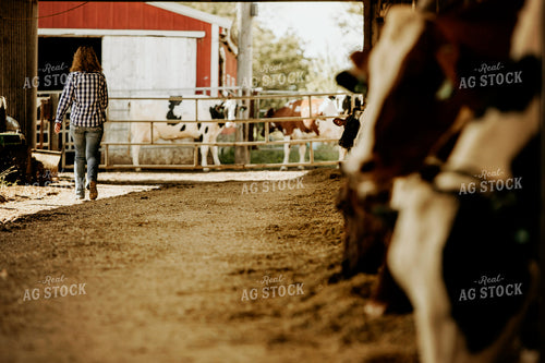 Dairy 2669
