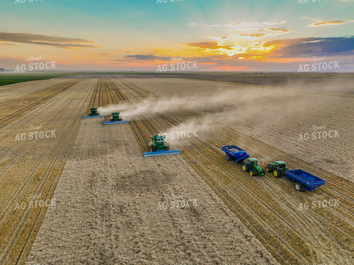 Aerial of Wheat Harvest 199006