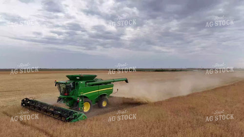 Wheat Harvest 239002