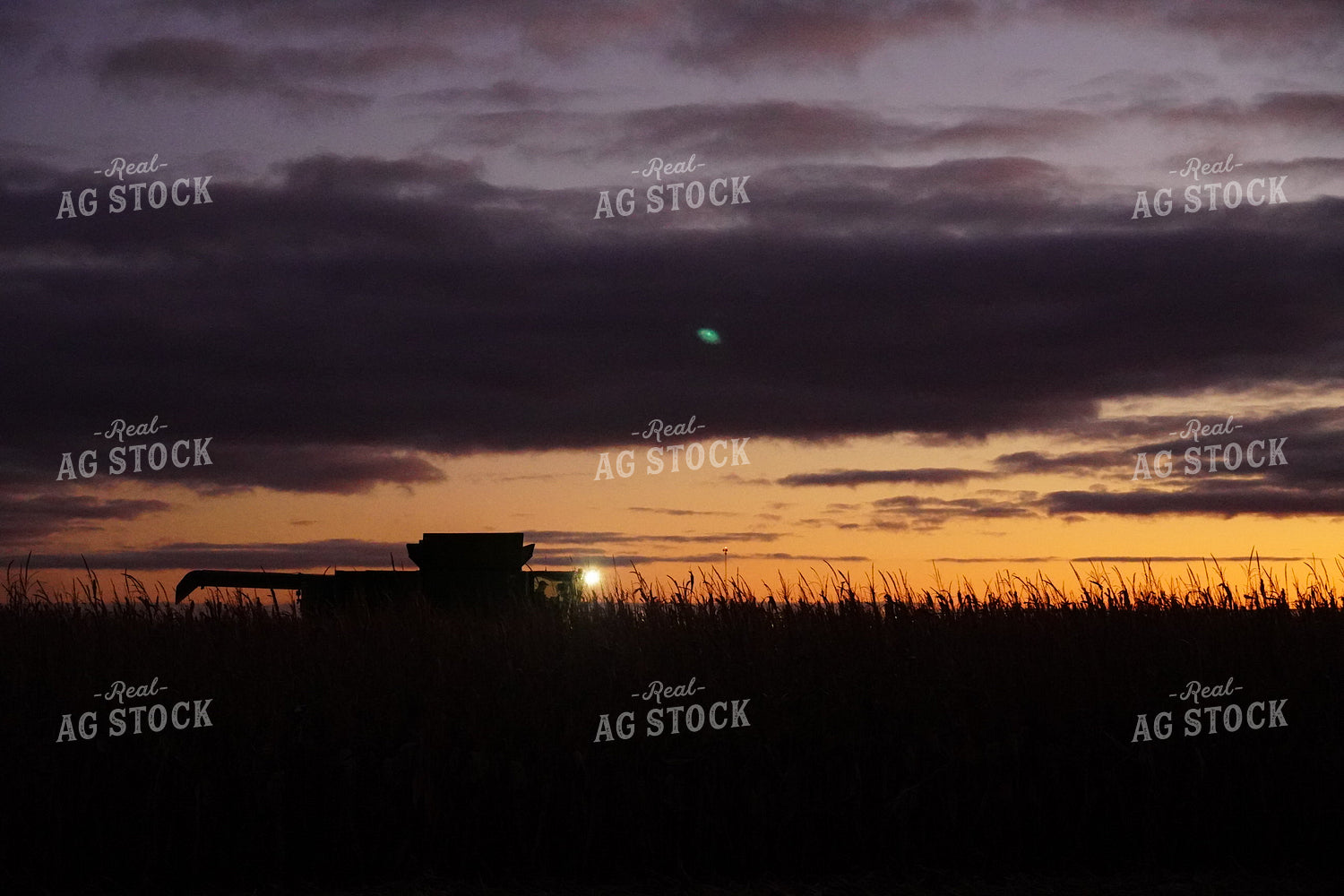 Combine Harvesting Corn at Sunset 65016