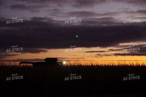 Combine Harvesting Corn at Sunset 65016