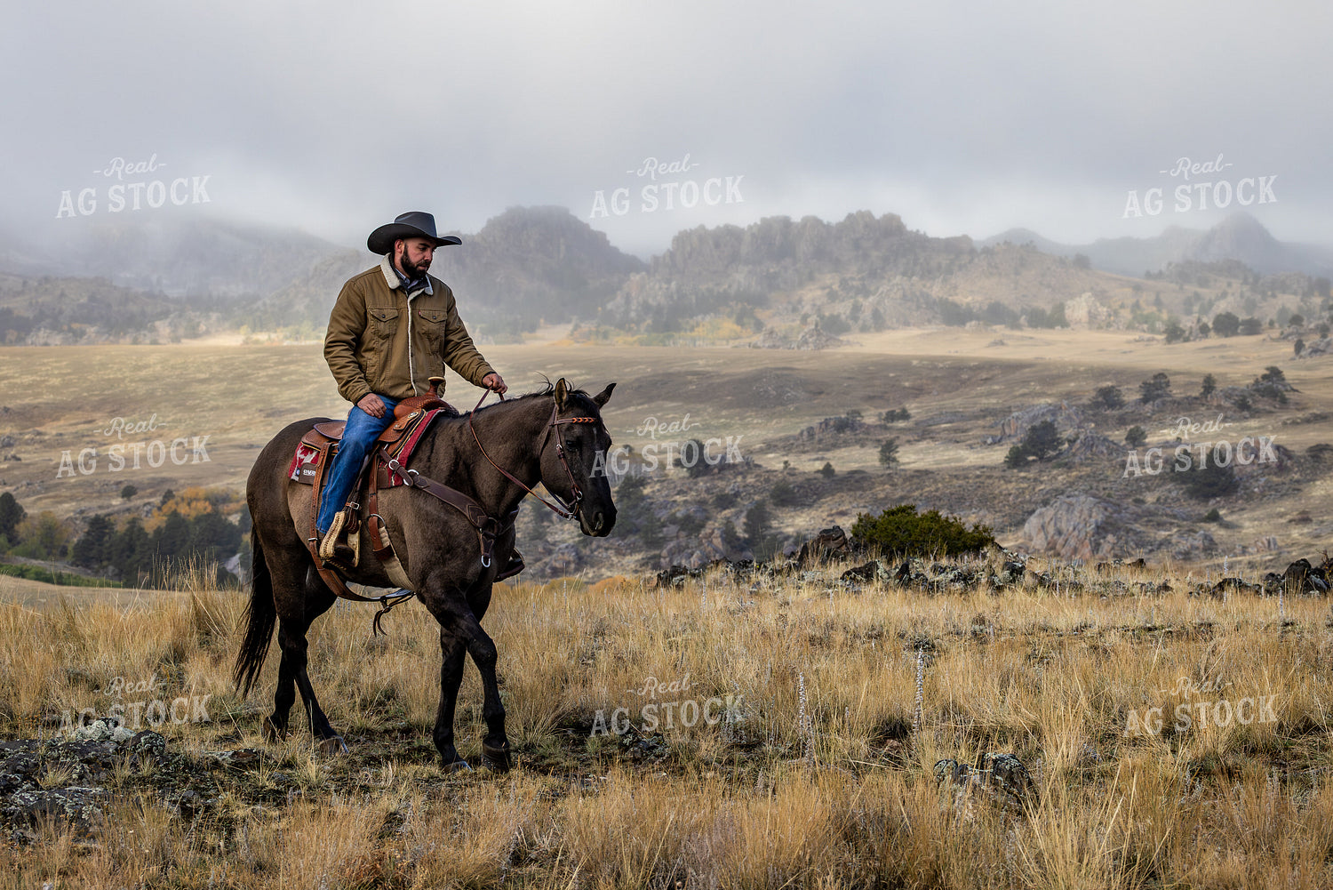 Cowboy on Horseback 290034