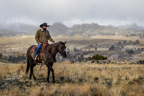 Cowboy on Horseback 290034