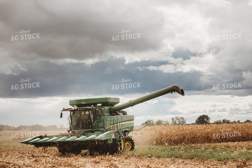 Combine Driving through Corn Field 3347