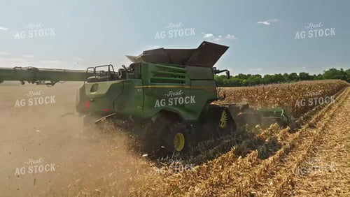 Corn Harvest 92083