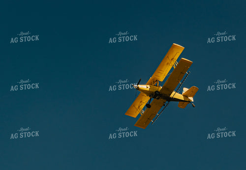 Crop Duster in Blue Sky 61077