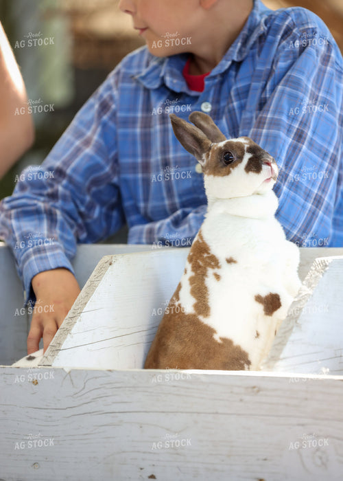 Showing Rabbits 160223