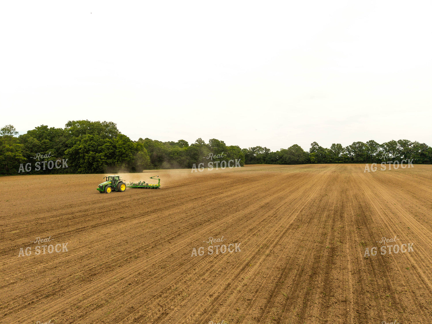 Planting 115705