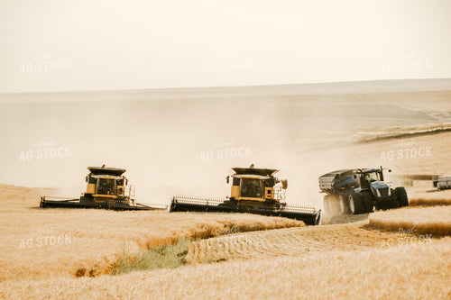 Combine Threshing Wheat 64091