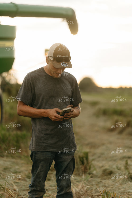 Farmer Using Phone in Rice Field 125265