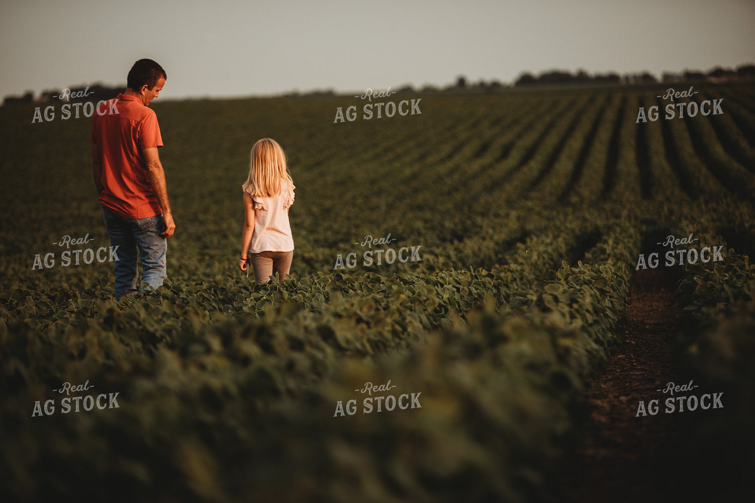 Farmer and Farm Kid Checking Crops in Soybean Field 4586