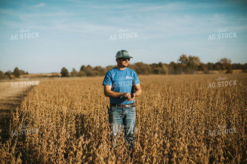Farmer Examining Soybean Pods 7163