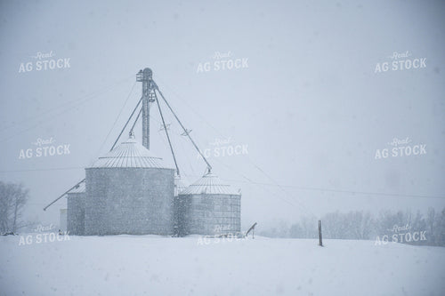 Snowy Rural Landscape 50312