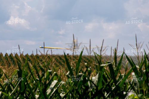 Crop Duster Spraying Corn 50146