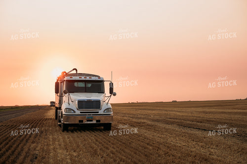 Semi in Cut Wheat Field 204017