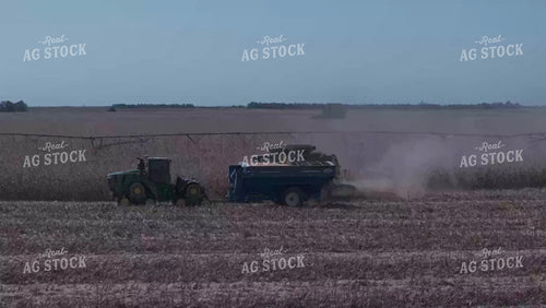 Corn Harvest 239020