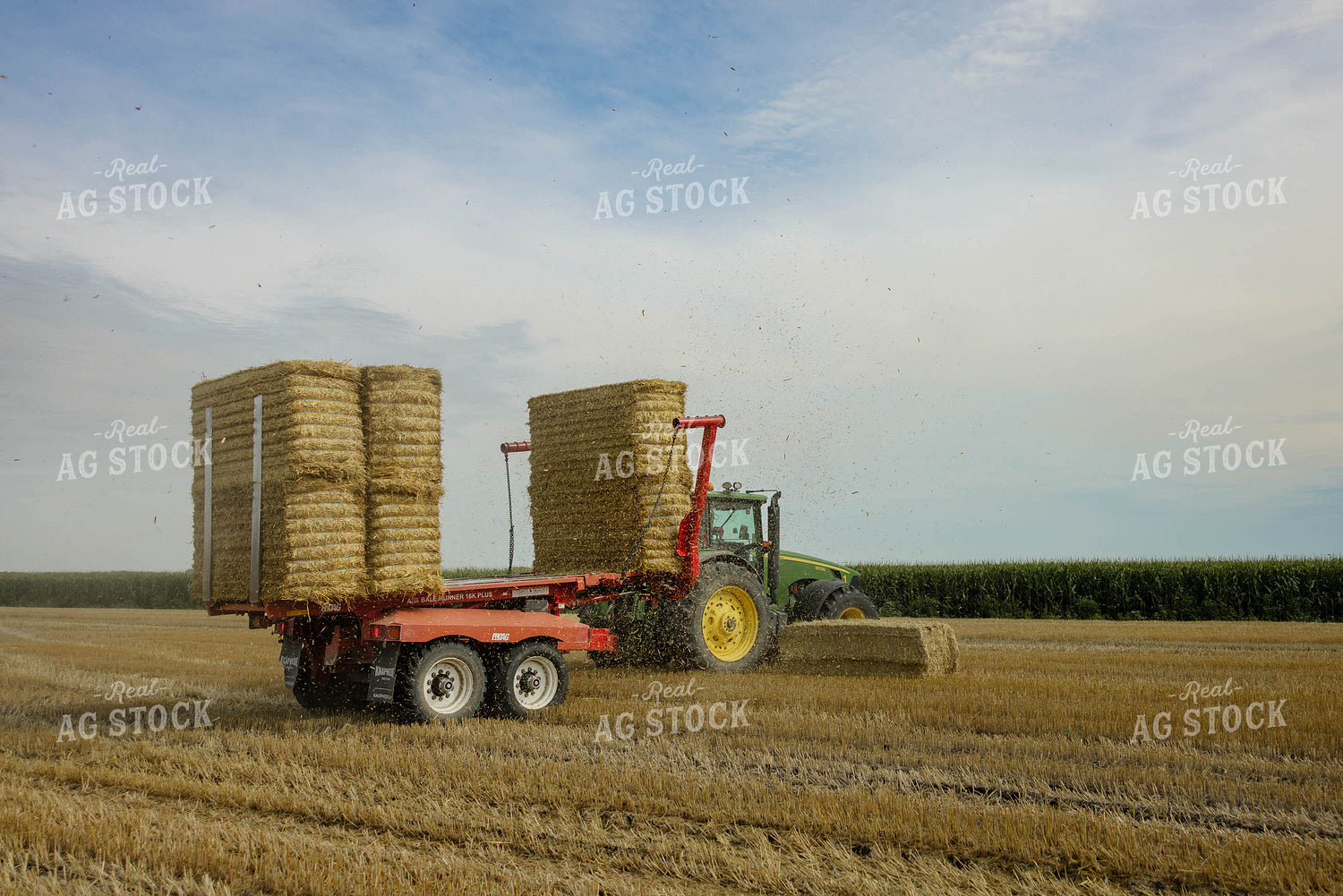 Loading Wheat Straw Bales 296071