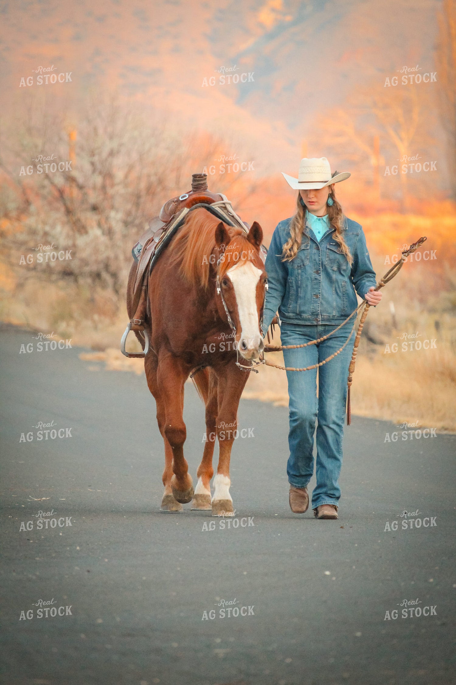 Female Rancher on Horse 78018