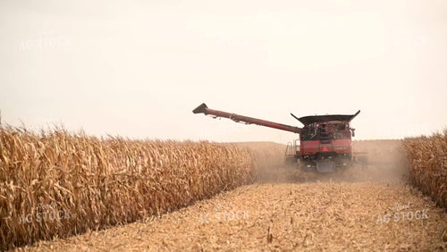 Harvesting Corn on Flat Ground - 449