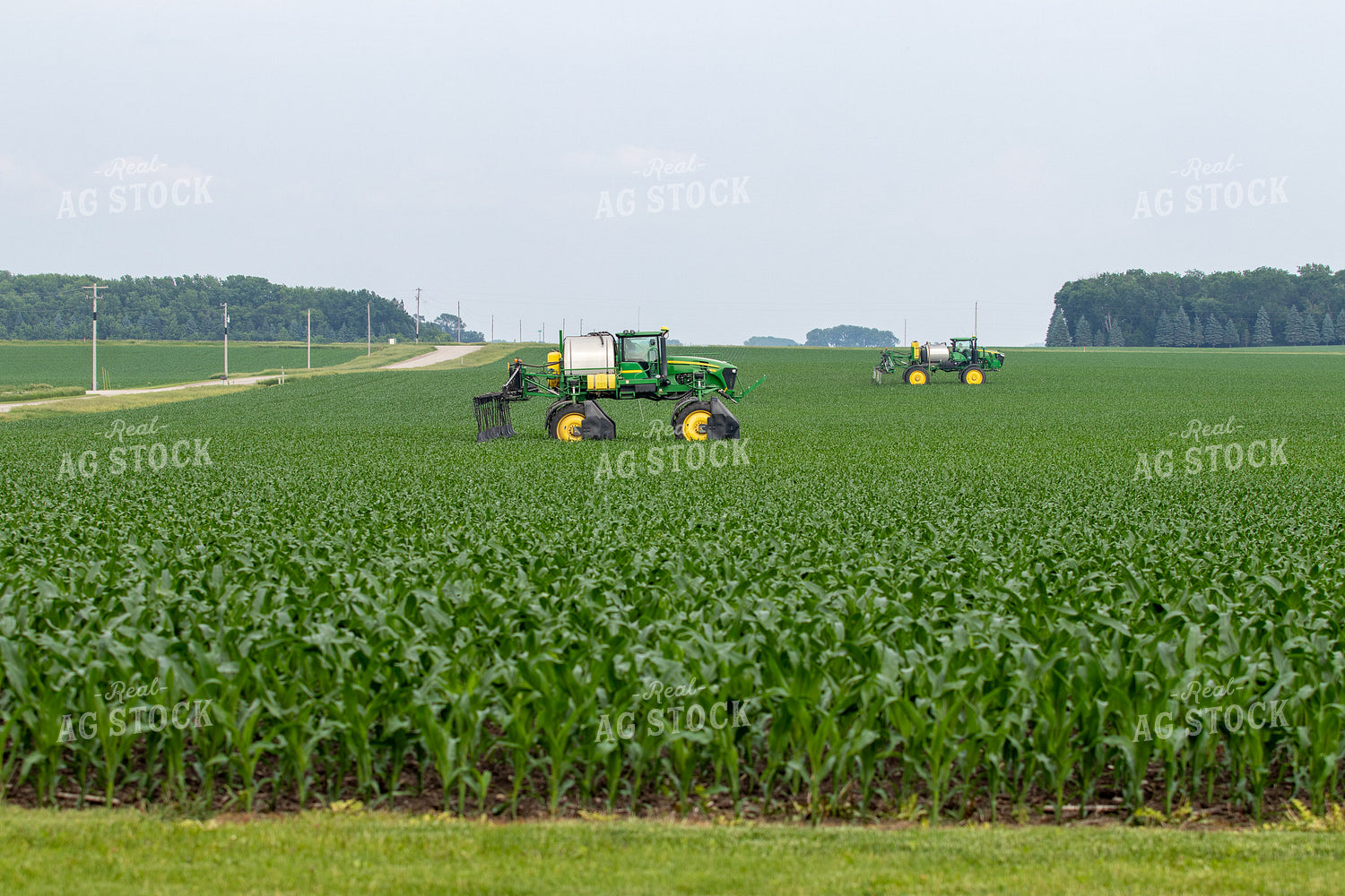 Spraying Corn 257025