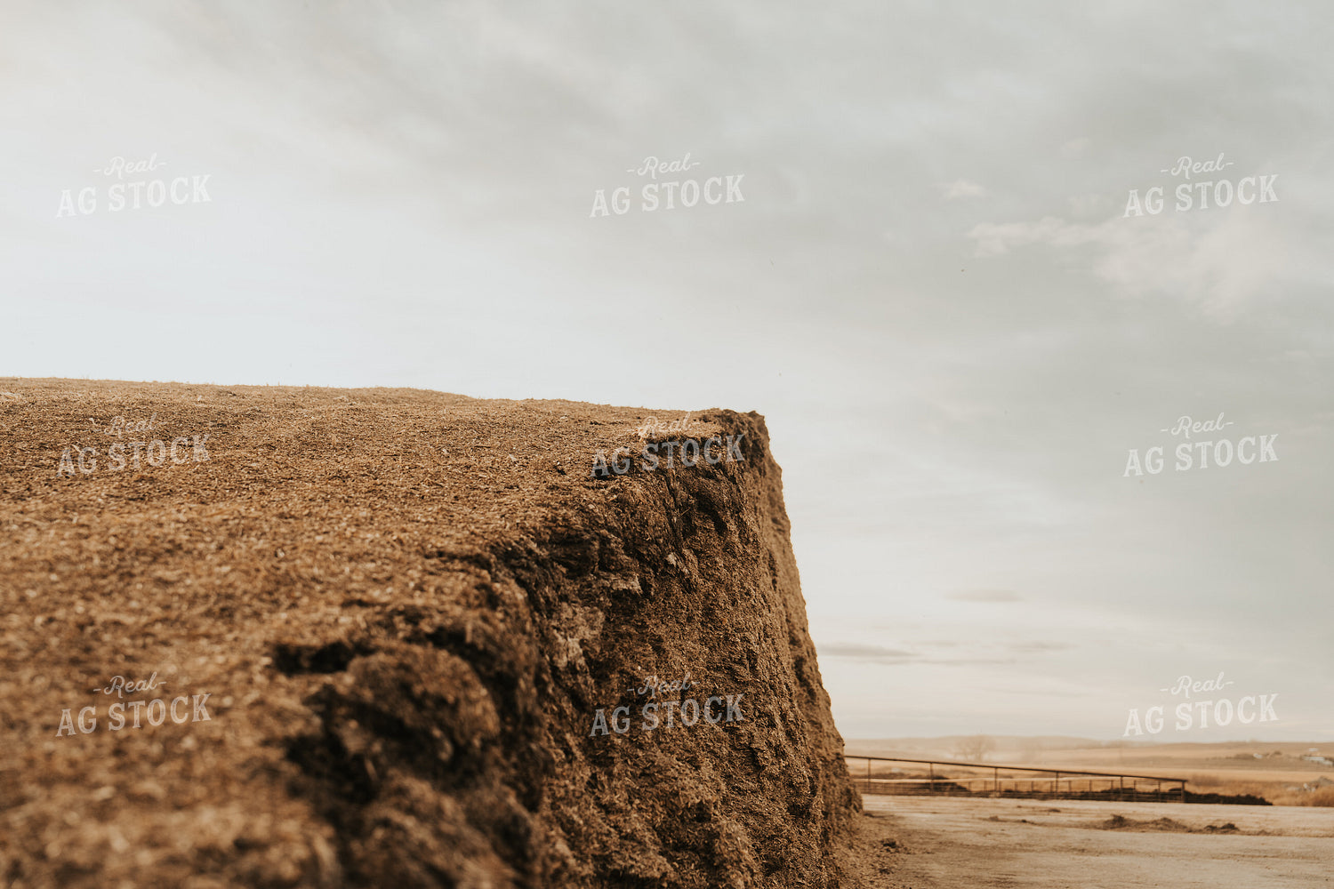 Uncovered Silage Pile 61263