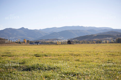 Scenic Pasture 117160