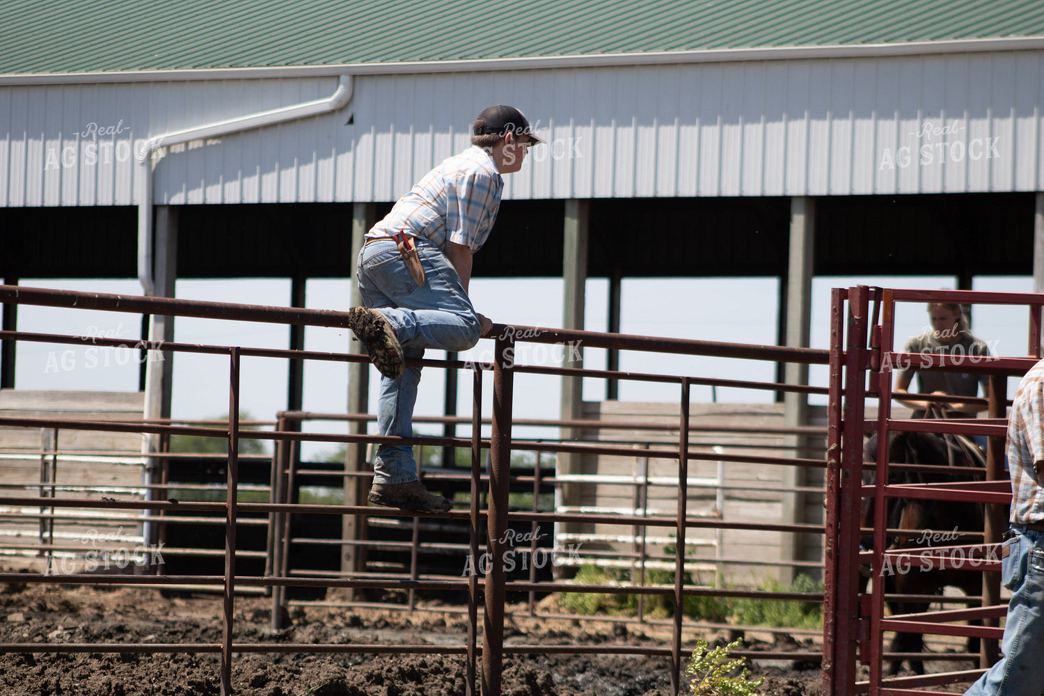 Cattle Producers Setting Up Corral 214284