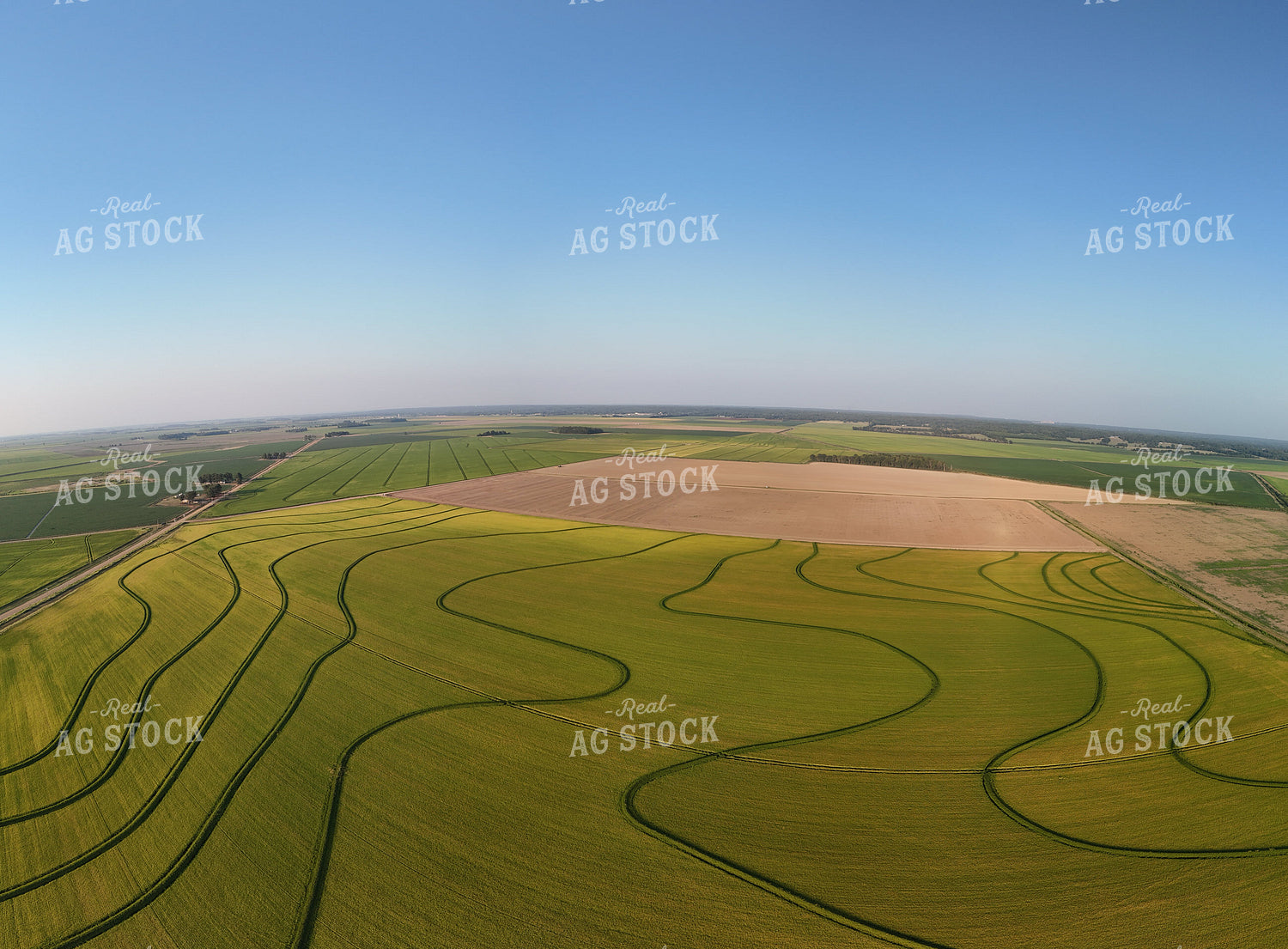 Aerial of Rice Field 267000