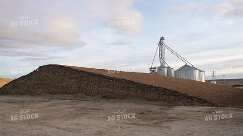 Uncovered Silage Pile 61251