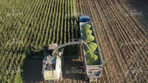 Chopping Corn Silage Drone 56324